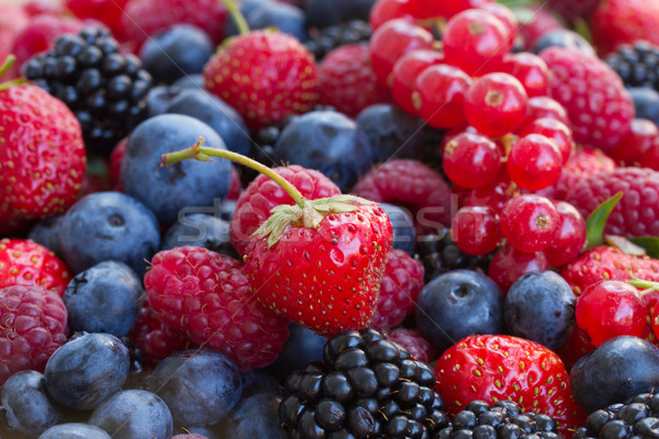 bluberry, raspberry, blackberry and red currrant Stock photo © neirfy