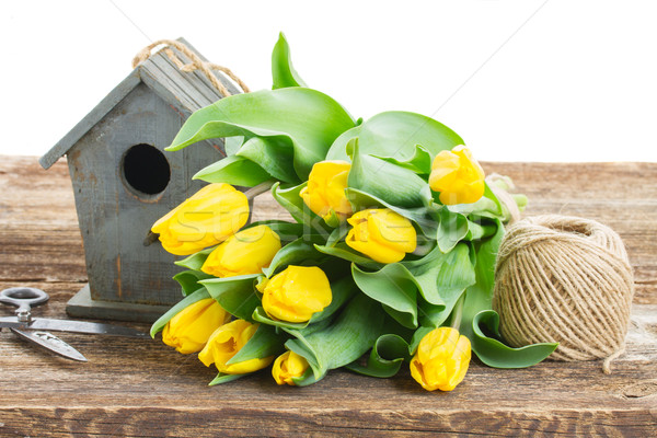 Gelb Tulpen Vogelkäfig frischen Grenze isoliert Stock foto © neirfy