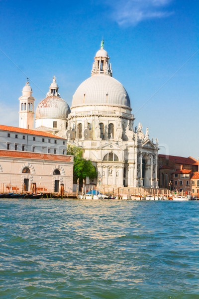 Basilica Santa Maria della Salute, Venice, Italy Stock photo © neirfy