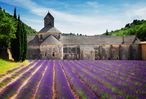 Opactwo lawendowe pole Francja świat słynny Zdjęcia stock © neirfy