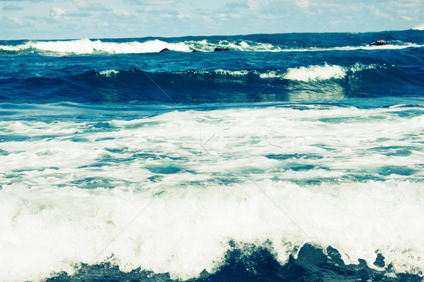 storm sea waves Stock photo © neirfy