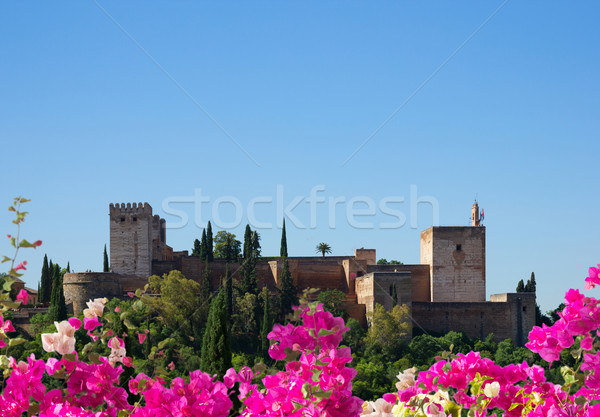 Festung Spanien Sommer Tag Himmel Stock foto © neirfy