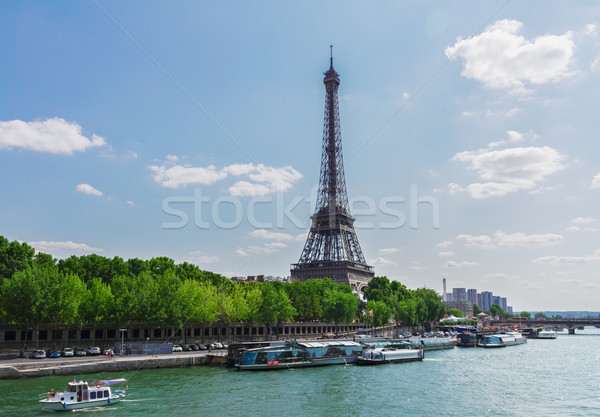 Eiffel gira río agua París Francia Foto stock © neirfy