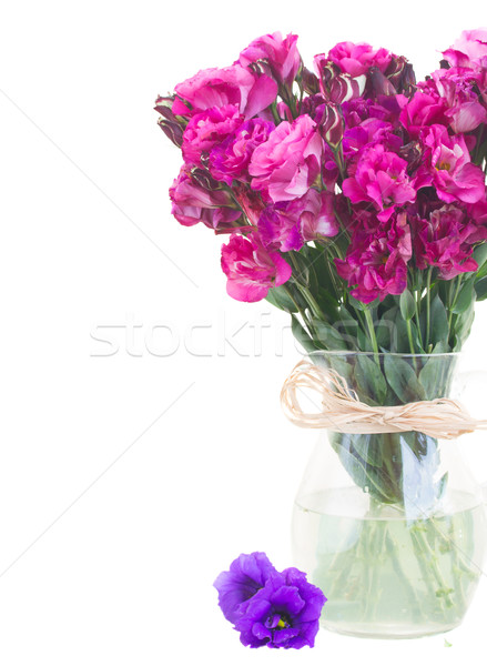 bunch of  mauve eustoma flowers Stock photo © neirfy