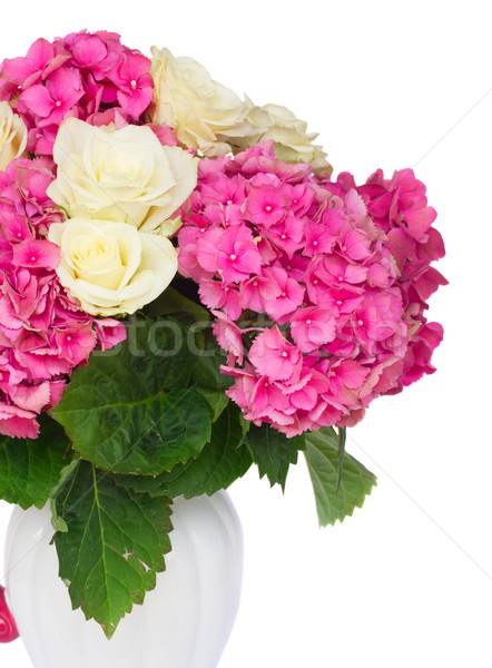 Rosa flores branco rosas isolado Foto stock © neirfy