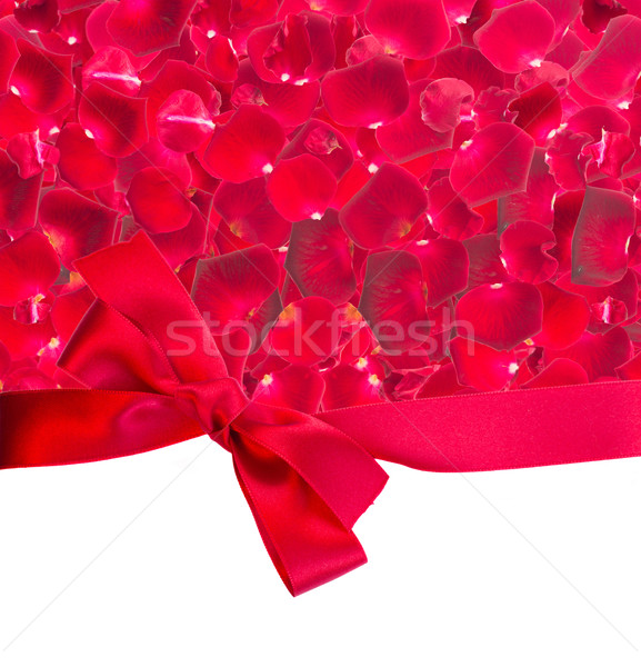 Stock photo: frame of dark  red rose petals