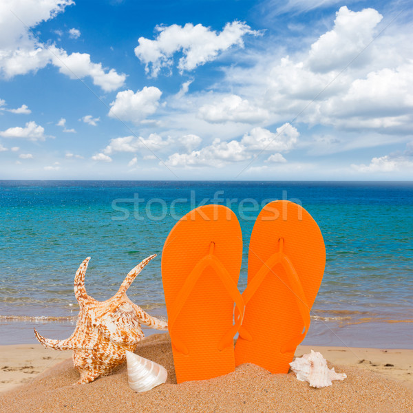 orange sandals and seashells in sand Stock photo © neirfy