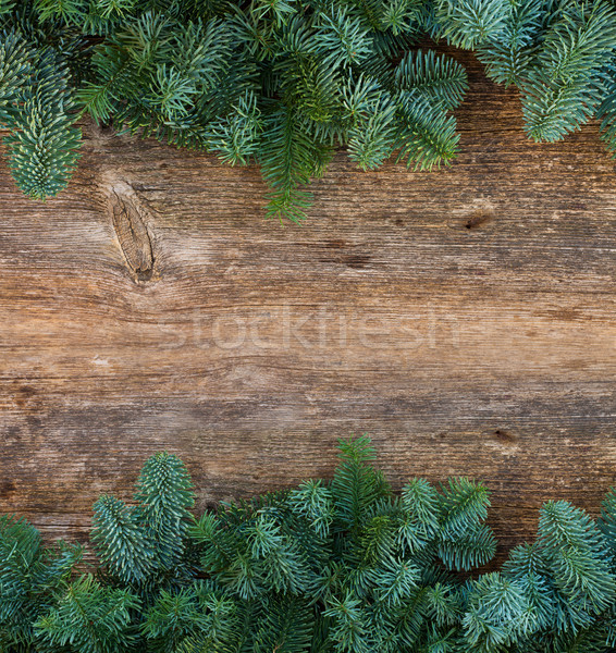 Stockfoto: Christmas · vers · evergreen · boom · frame