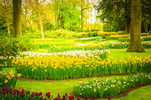 Formal spring garden Stock photo © neirfy