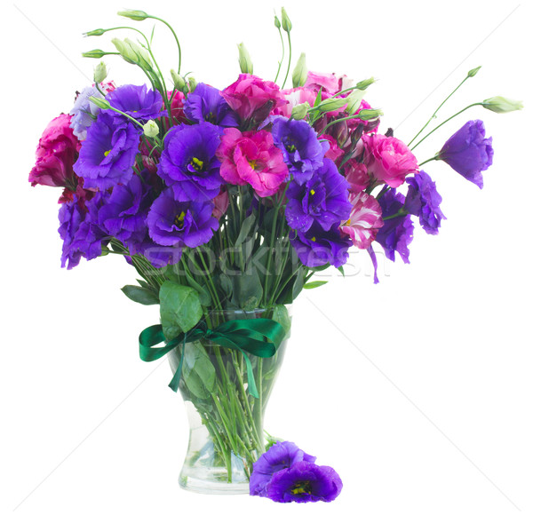 bunch of  mauve eustoma flowers Stock photo © neirfy