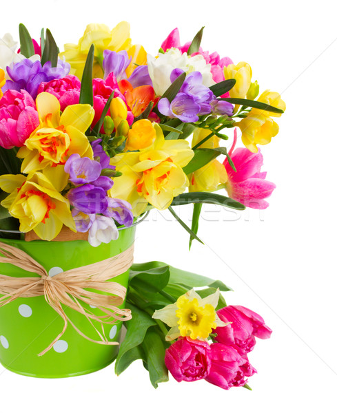 freesia and daffodil  flowers Stock photo © neirfy