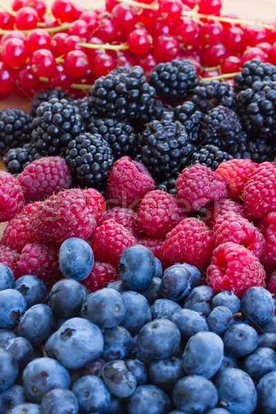 bluberry, raspberry, blackberry and red currrunt Stock photo © neirfy