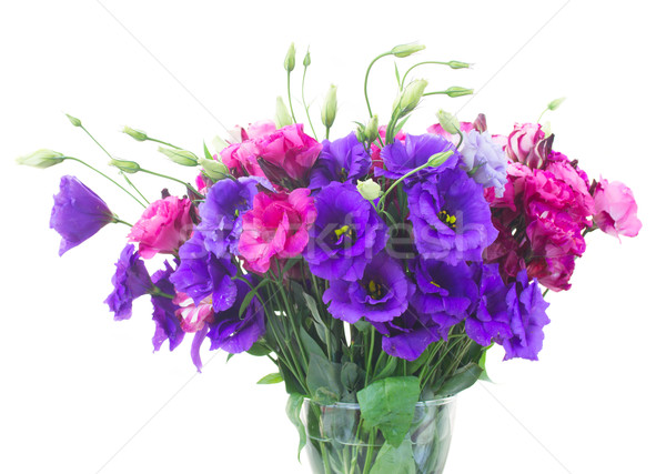 bouquet  of  purple and mauve eustoma flowers Stock photo © neirfy