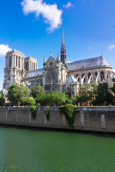 Notre Dame-katedrális Párizs Franciaország nyár nap folyó Stock fotó © neirfy