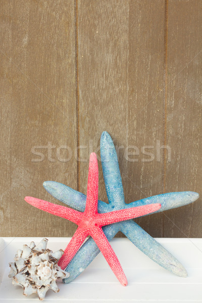 Foto stock: Rojo · azul · estrellas · de · mar · concha