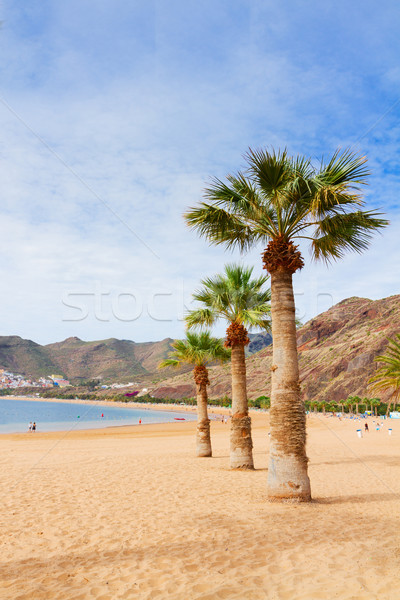 Tengerpart Tenerife Spanyolország kilátás homokos tengerpart pálmafák Stock fotó © neirfy