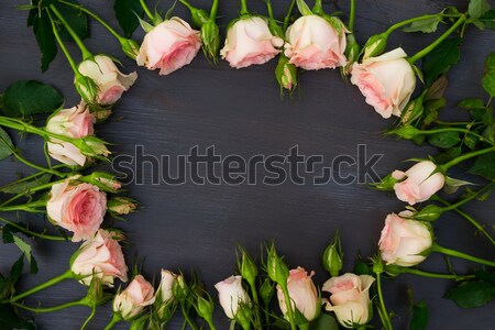 Rosa rose fioritura fresche frame confine Foto d'archivio © neirfy