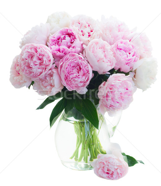 Foto stock: Fresco · flores · rosa · vaso · isolado