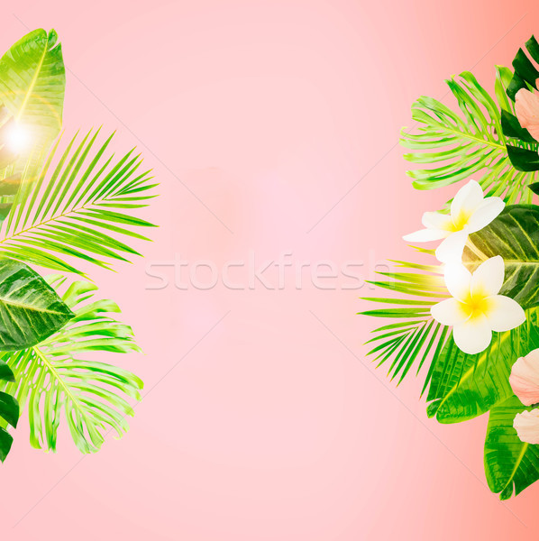 Tropicali foglie verdi fiori carta copia spazio rosa Foto d'archivio © neirfy
