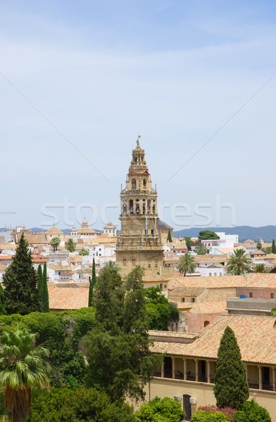 old town of Cordoba, Spain Stock photo © neirfy