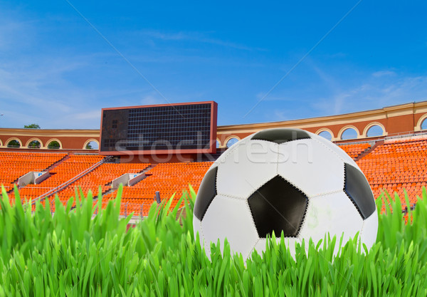 Balón de fútbol hierba estadio blanco negro fútbol primavera Foto stock © neirfy