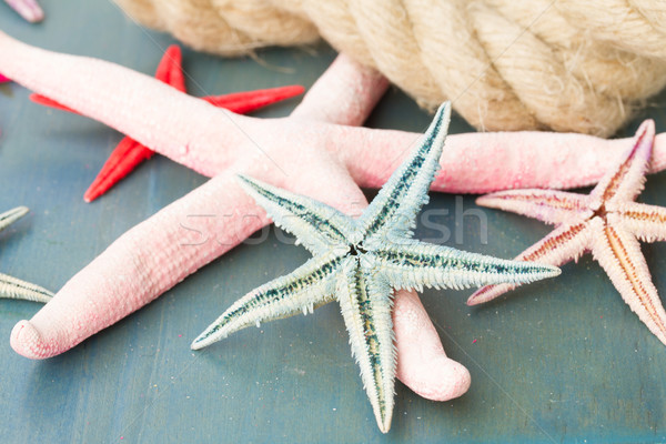 marine rope with starfish Stock photo © neirfy