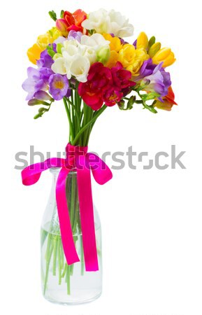 喇叭水仙 花卉 藍色 粉紅色 黃色 玻璃 商業照片 © neirfy
