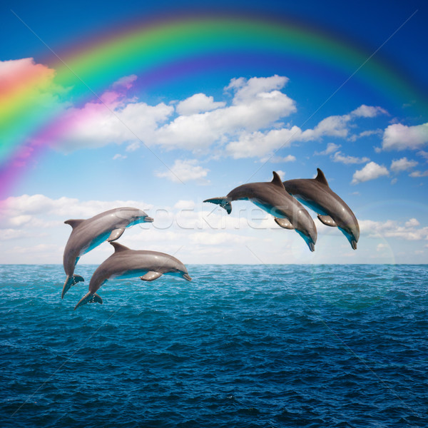 Pack springen dolfijnen zeegezicht regenboog diep Stockfoto © neirfy