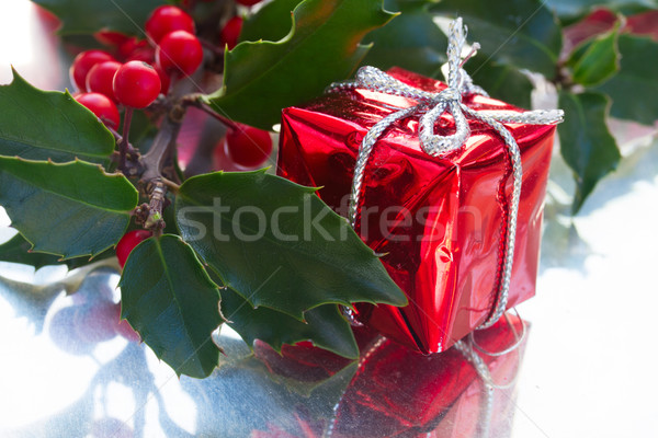 Zielone liście czerwony jagody oddziału szkatułce szczęśliwy Zdjęcia stock © neirfy