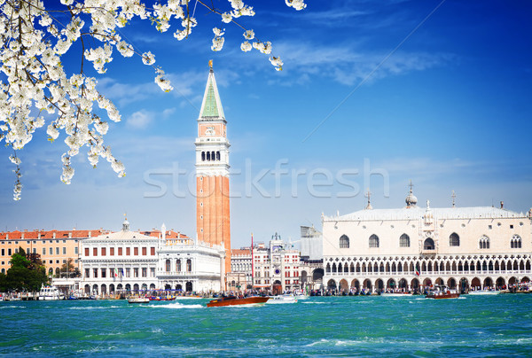 Platz Wasser Venedig berühmt sonnig Frühling Stock foto © neirfy
