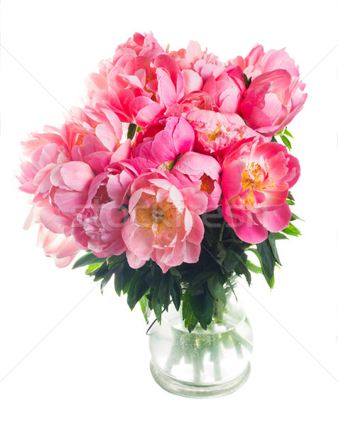 Stock fotó: Friss · virágok · sötét · rózsaszín · váza · izolált