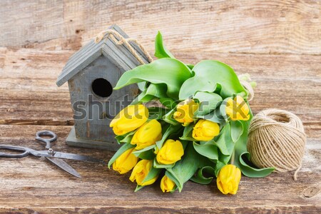鳥籠 復活節彩蛋 木桌 春天 雞蛋 商業照片 © neirfy