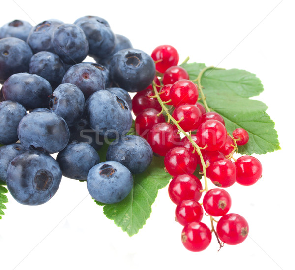 藍莓 紅色 黑醋栗 草莓 葉 孤立 商業照片 © neirfy