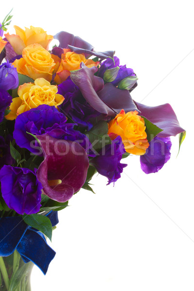 Stock fotó: Virágok · rózsák · izolált · fehér · virág · tavasz