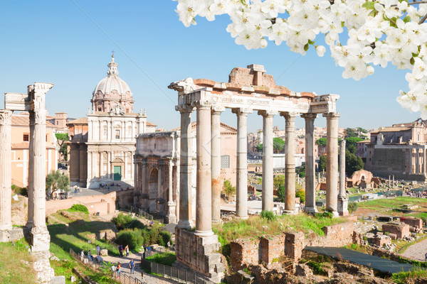 Fórum római romok Róma Olaszország napos Stock fotó © neirfy