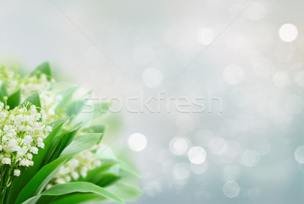 Völgy köteg friss virágok szürke bokeh Stock fotó © neirfy