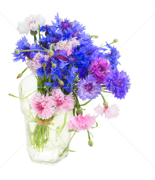 Foto stock: Azul · monte · rosa · vaso · isolado · branco