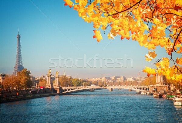 Pont Tour Eiffel Paris ensoleillée automne jour Photo stock © neirfy