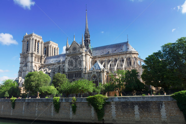 巴黎聖母院大教堂 巴黎 法國 教會 夏天 天 商業照片 © neirfy