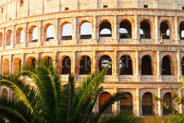 Coliseu pôr do sol Roma Itália ruínas verde Foto stock © neirfy