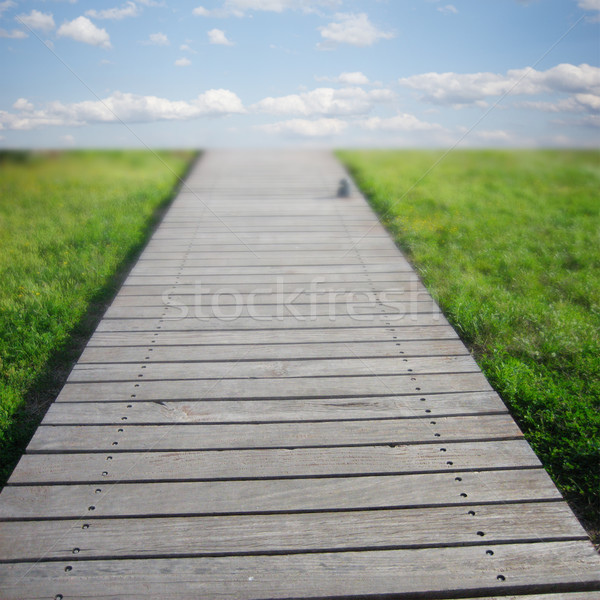 Holz Planken grünen Gras leer Planke Straße Stock foto © neirfy