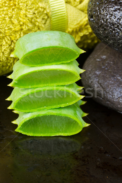 Aloe spa frischen grünen wet Massage Stock foto © neirfy