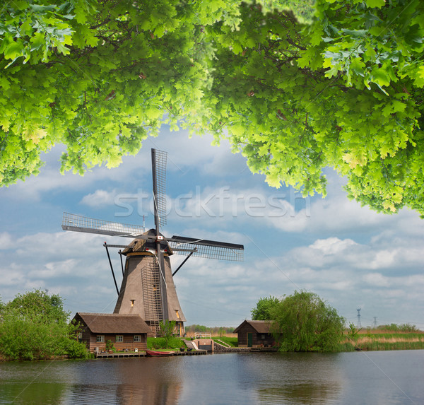 Stok fotoğraf: Hollanda · fırıldak · nehir · yaz · gün · su