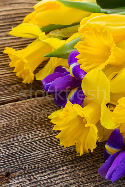 Húsvét nárciszok mozog kéz elvesz olló Stock fotó © neirfy