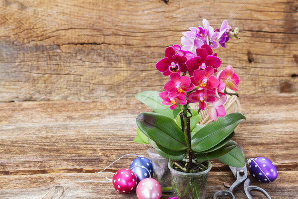 Foto stock: Primavera · violeta · orquídeas · rosa · ovos · de · páscoa · madeira