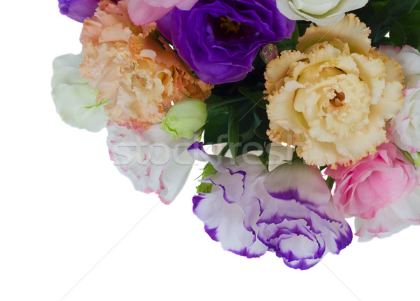 Pink, white and violet flowers Stock photo © neirfy