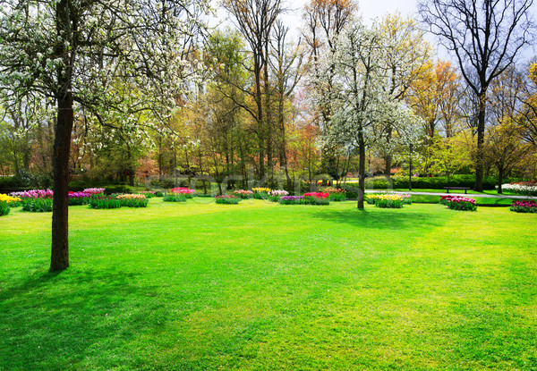 Formal spring garden Stock photo © neirfy