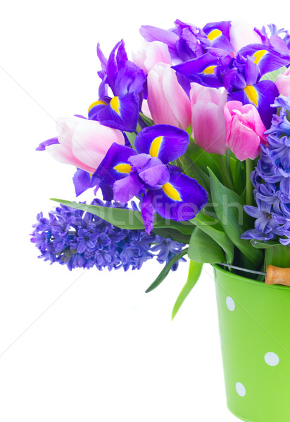 hyacinths and tulips Stock photo © neirfy