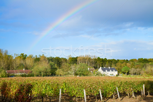 Сток-фото: Winery · саду · дождь · осень · красивой · радуга