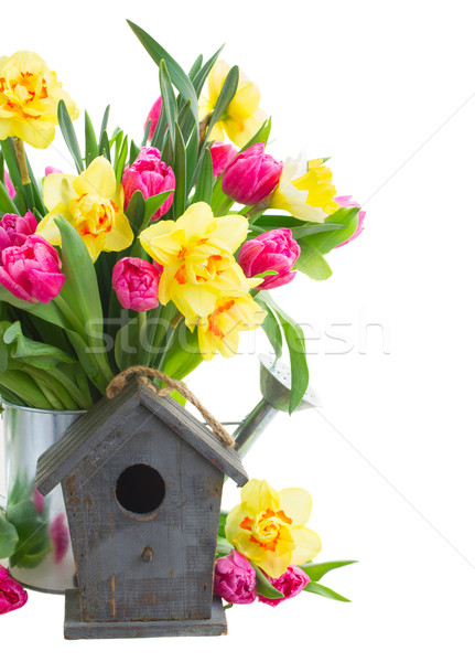 Haufen Tulpen Narzissen Vase rosa Tulpe Stock foto © neirfy